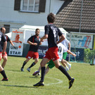 DSC_7237.JPG
