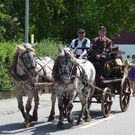 DSC_7201.JPG