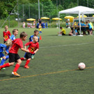 DSC_2246.jpg