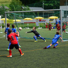 DSC_2247.jpg