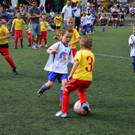 DSC_2291.jpg
