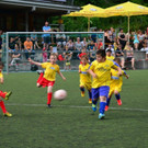 DSC_2345.jpg