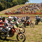 Best of Montikel 2013 