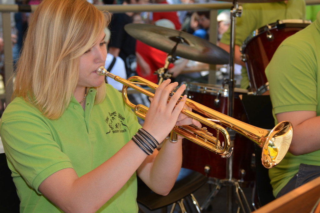 sonnenfest musik2.jpg