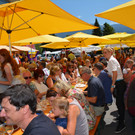 sonnenfest5a.jpg