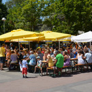 sonnenfest18.jpg