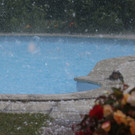 ABD0051-20140623.jpg