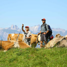 Wanderbares Laternsertal.JPG