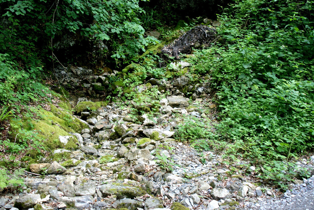 12.JPG