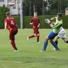 2014 06 20 077.jpg