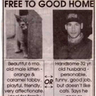 free_good_home.jpg