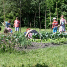 IMG_9748.JPG