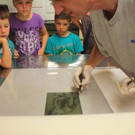 IMG_5811.jpg