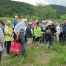 Wissenswertes __ber das Wunder Natur.jpg