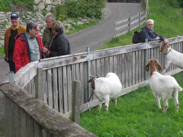 Wanderung Bruggerloch  13_05_2014 _3_.JPG