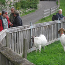 Wanderung Bruggerloch  13_05_2014 _3_.JPG