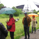 Wanderung Bruggerloch  13_05_2014 _7_.JPG