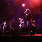 IMG_5624.jpg