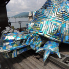 DSCN1230.jpg