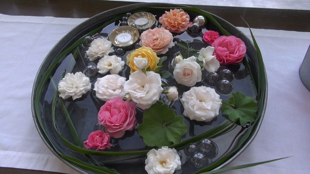 DSC050.JPG