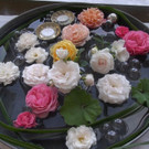 DSC050.JPG