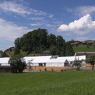 DSC03521.JPG
