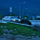 DSC_0026 _2_ _Copy_.JPG