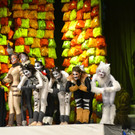 DSC_0631.JPG