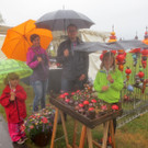 Kunstmarkt am Kaiserstrand 2014 _3_.JPG