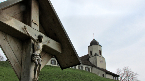KOE-Kirschenbl__te 2_jpg-1271954648