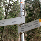 KOE-Kirschenbl__te 6_jpg-1271954760