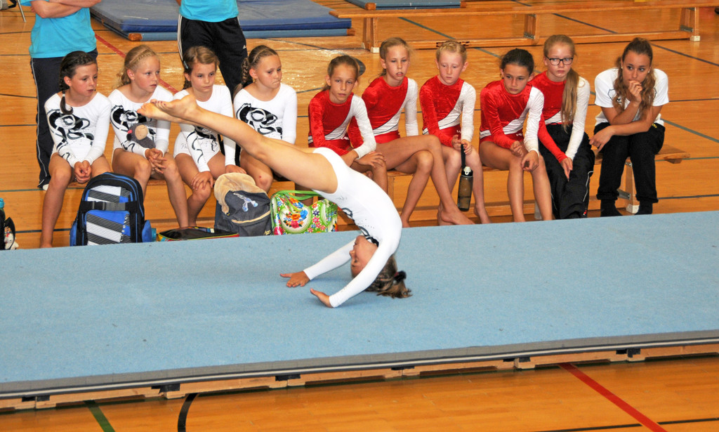 Jugendturnfest 2014 4.jpg