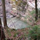KOE-Kirschenbl__te 9_jpg-1271954867