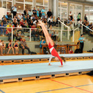 Jugendturnfest 2014 13.jpg
