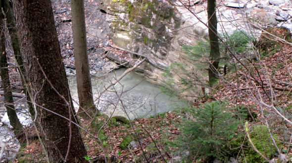 KOE-Kirschenbl__te 9_jpg-1271954867