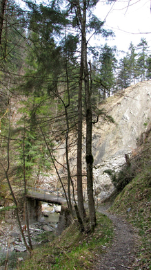 KOE-Kirschenbl__te 10_jpg-1271954904
