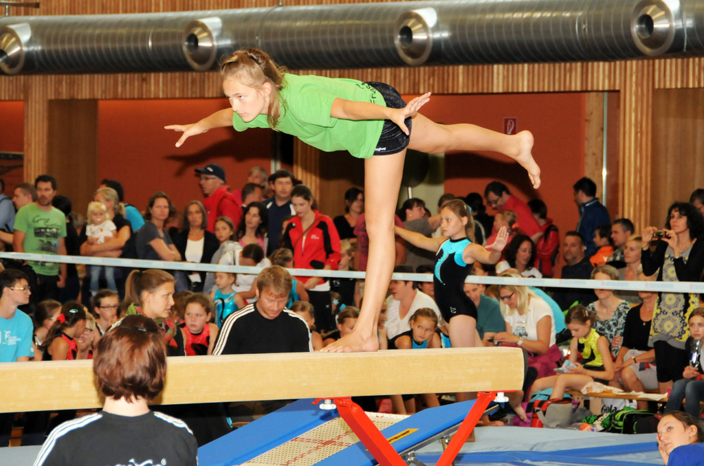 Jugendturnfest 2014 117.jpg