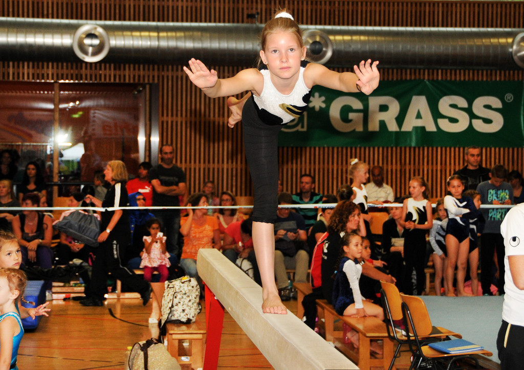 Jugendturnfest 2014 197.jpg