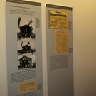 # Titelbild _58_ In einer spannenden Ausstellung wird der 1_ Weltkrieg dokumentiert.JPG