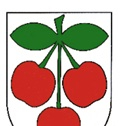 KOE-Kirschenbl__te 32_jpg-1271955406