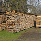 _DSC00050003_JPG-1271956152