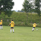 IMG_3117.jpg