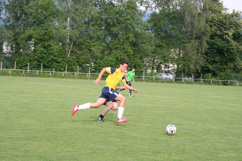 IMG_3217.jpg