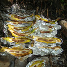 Waldspielgruppe 4_6 _10_.JPG