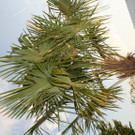 IMG_8410.JPG