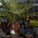 IMG_8427.JPG