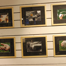 Bildergalerie.JPG