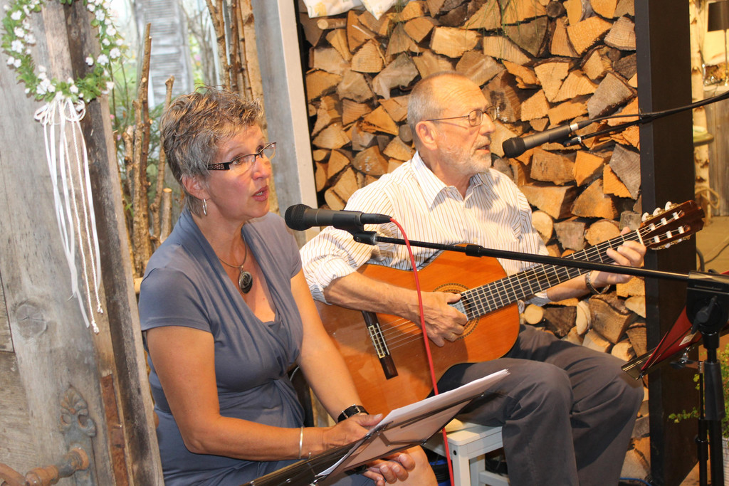 Musik im Auhof.JPG
