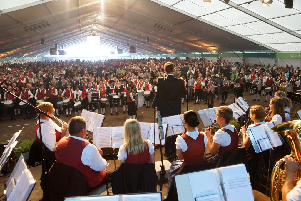 Musikfest Langenegg 35.jpg