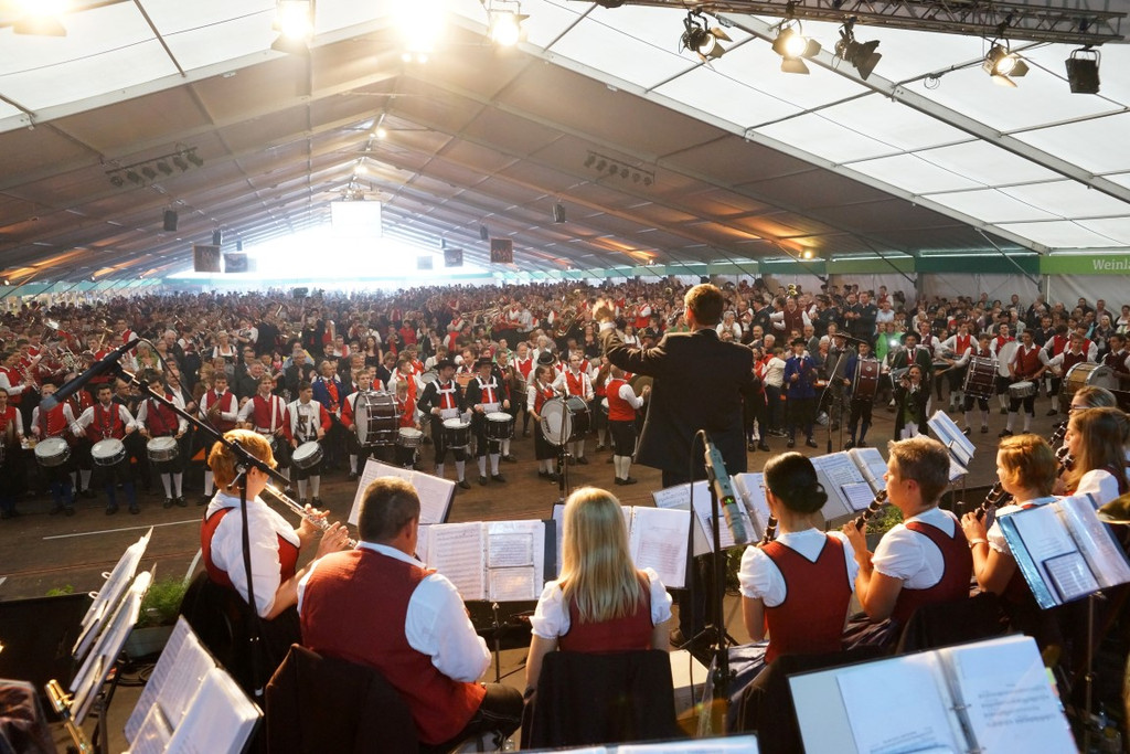 Musikfest Langenegg 37.jpg